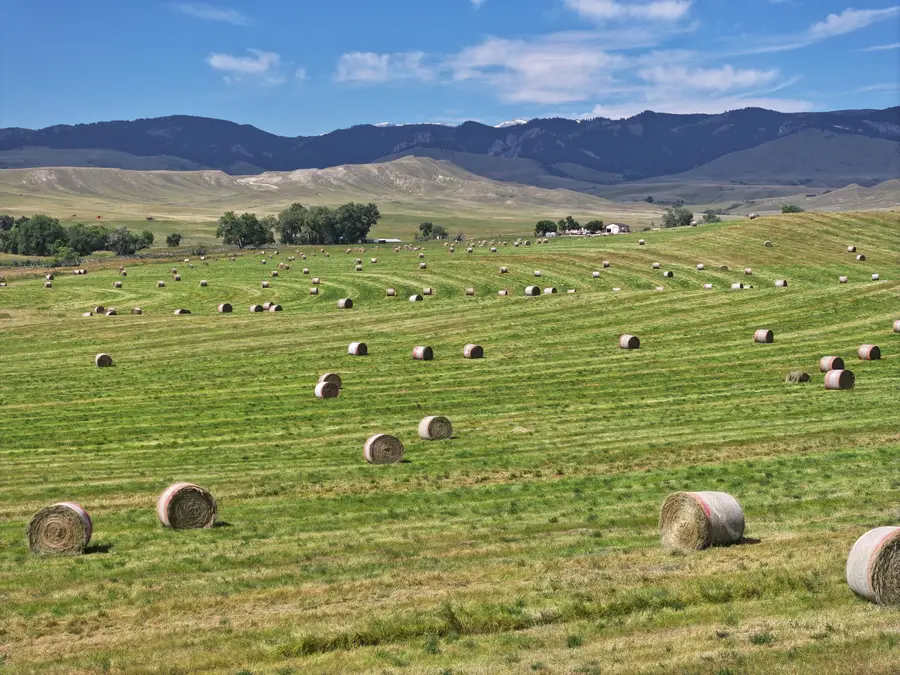 77 Sand Creek Ranch Road, Buffalo, WY 82834 - Image #2