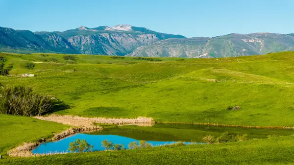 Shepards, Big Horn, WY 82833