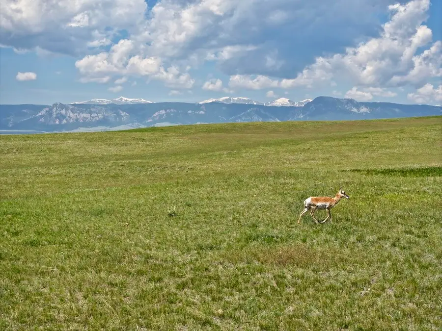 TBD Trabing Road, Buffalo, WY 82834 - Image #3