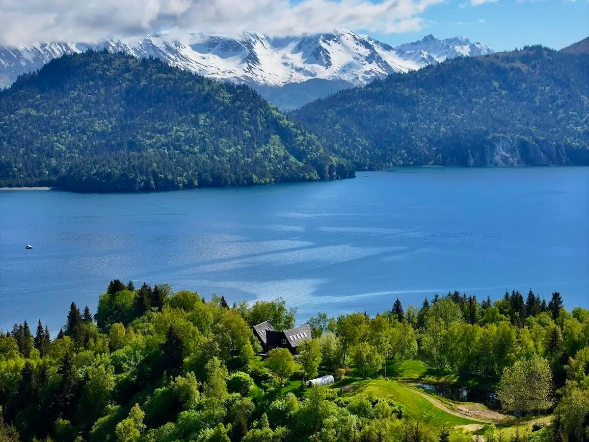 46514 Sidelinger Trail, Halibut Cove, AK 99603 - Image #1