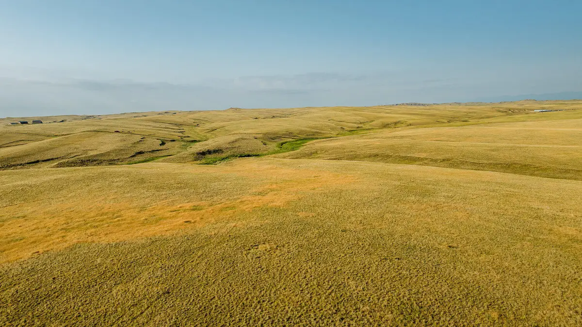 32 Wallows Creek Road, Buffalo, WY 82834 - #1