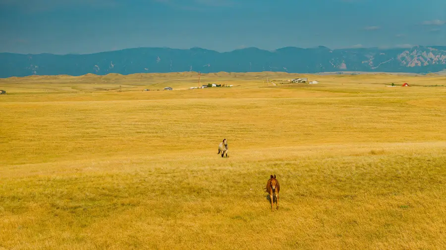 32 Wallows Creek Road, Buffalo, WY 82834 - #3