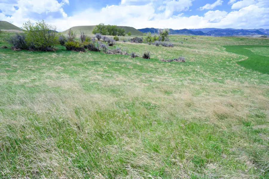 37 Horseshoe Meadow Lane, Buffalo, WY 82834 - #2