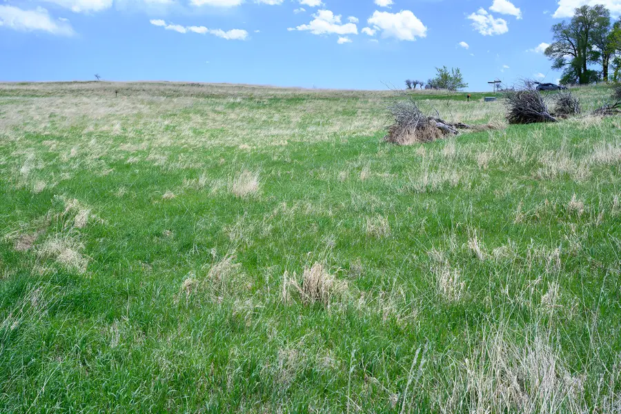37 Horseshoe Meadow Lane, Buffalo, WY 82834 - #3