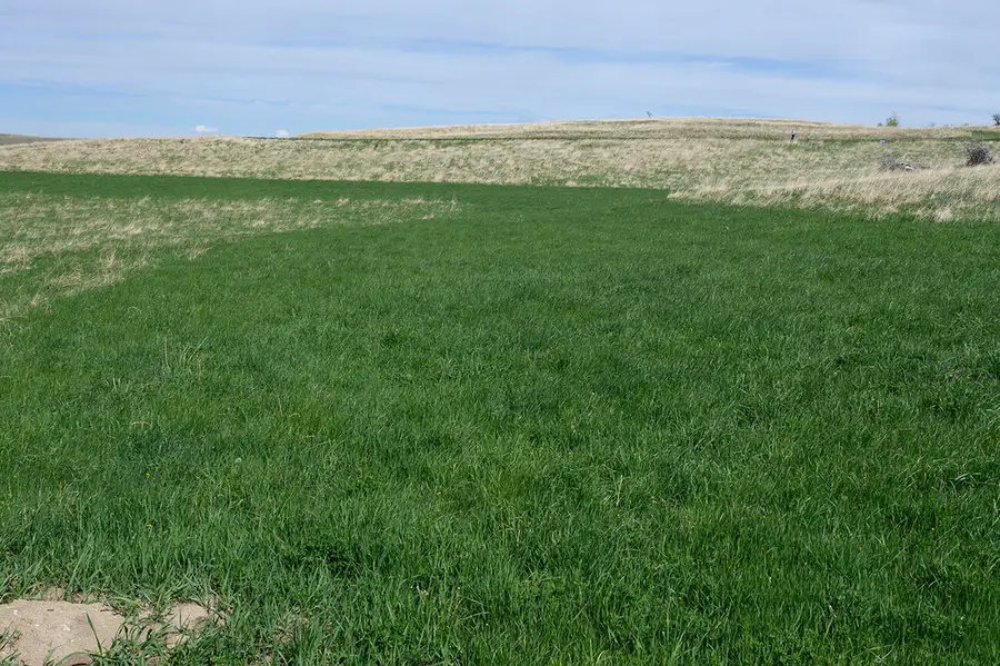 36 Horseshoe Meadow Lane, Buffalo, WY 82834 - #3