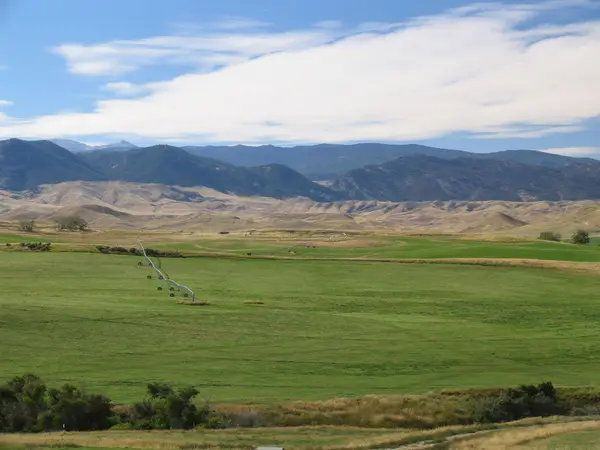21 Hopkins Divide Loop, Buffalo, WY 82834
