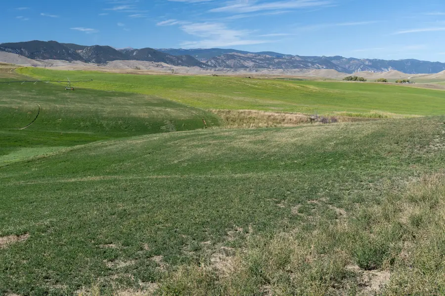 21 Hopkins Divide Loop, Buffalo, WY 82834 - #3
