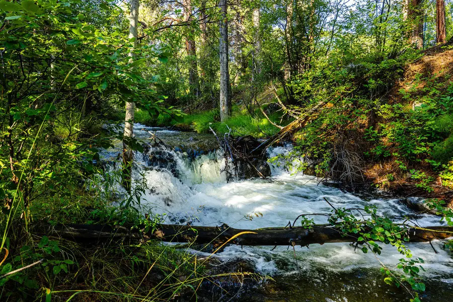 26 Fawn Trail, Story, WY 82842 - #3