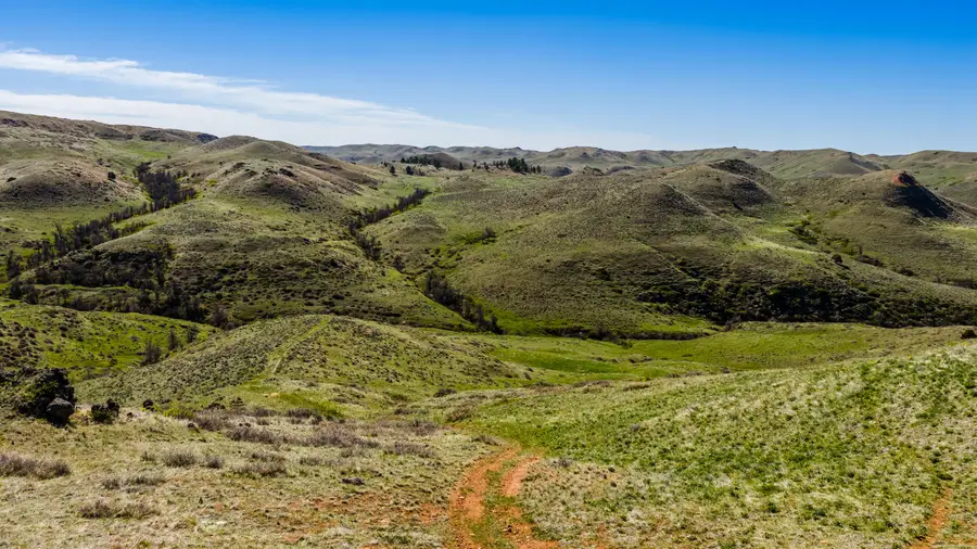 366 S Sr-buffalo Creek Road, Wyarno, WY 82845 - #3