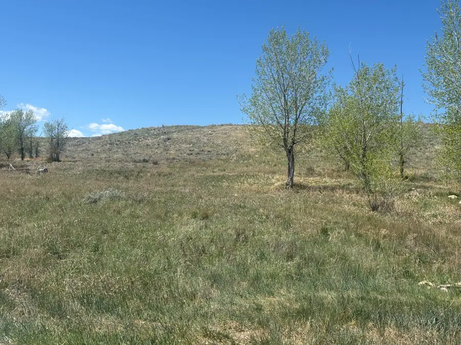 110 Watkins Street, Buffalo, WY 82834 - #3