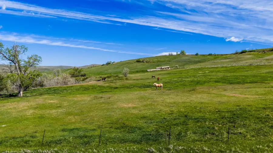 Address Withheld By Seller, Sheridan, WY 82801 - #2