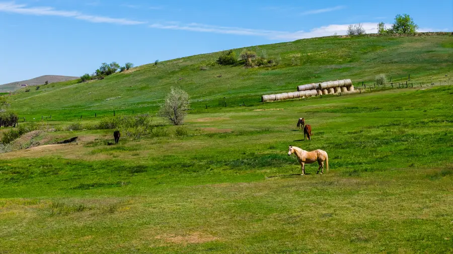 Address Withheld By Seller, Sheridan, WY 82801 - #3