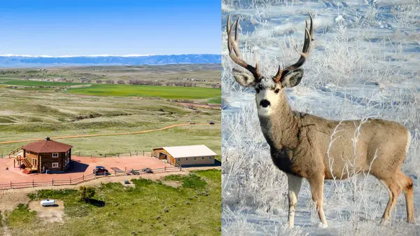 593 Lower Prairie Dog Road, Sheridan, WY 82801