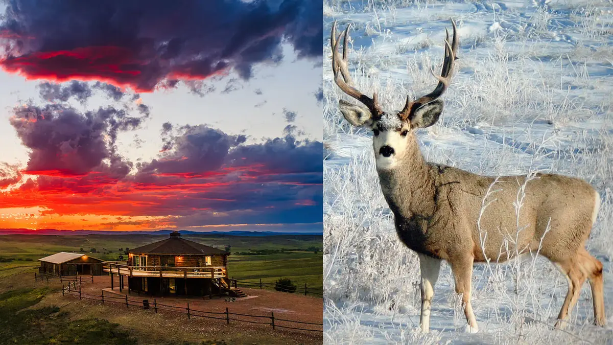 593 Lower Prairie Dog Road, Sheridan, WY 82801 - #1