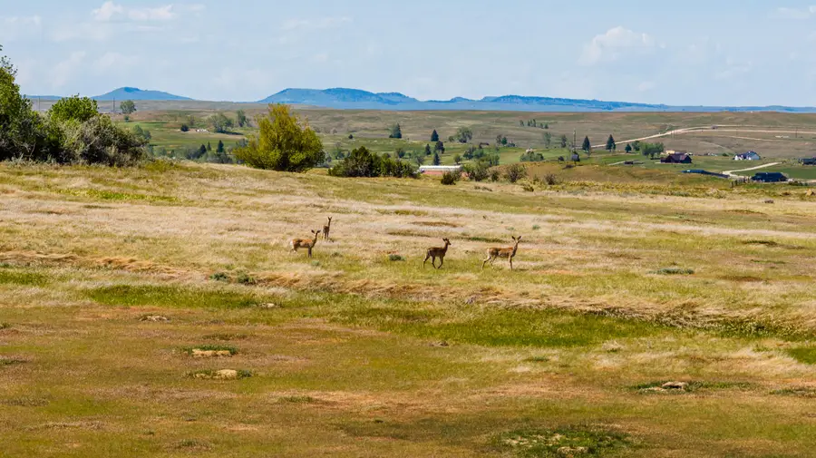 TBD N Upper Road, Sheridan, WY 82801 - #2