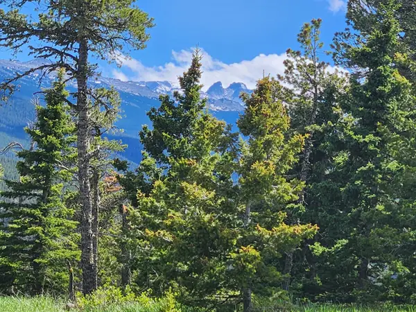 Lot 12 Blacktooth Road, Big Horn, WY 82833