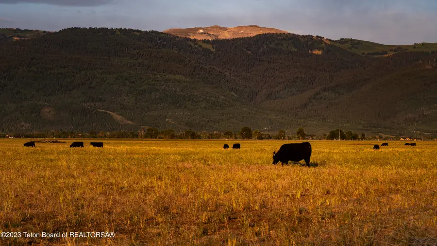 250 E 1750 N, Driggs, ID 83422 - #2