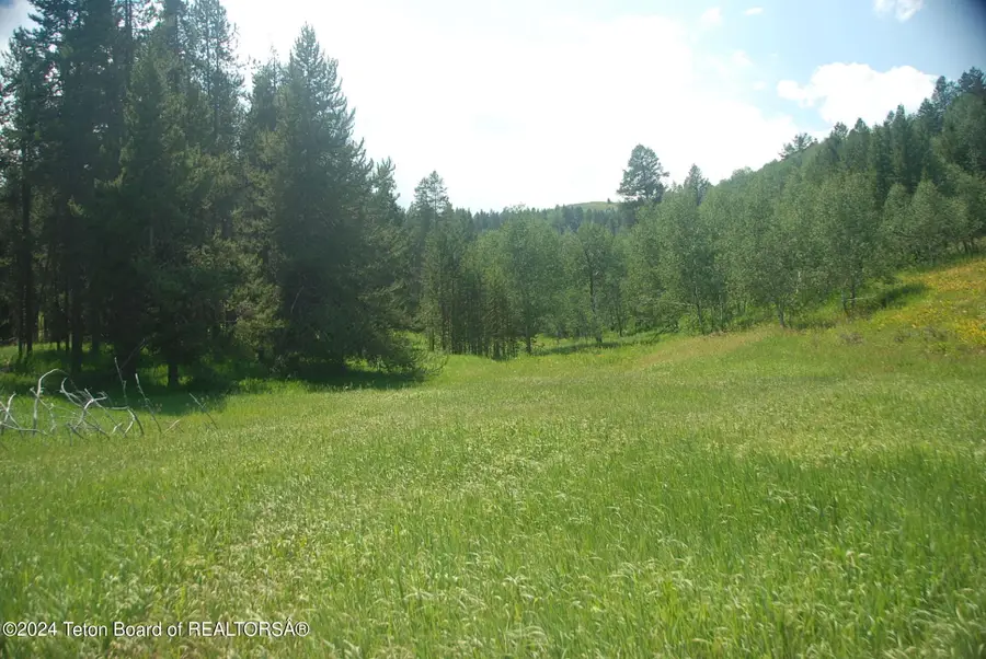 8355 S Fall Creek Road, Wilson, WY 83014 - Image #2