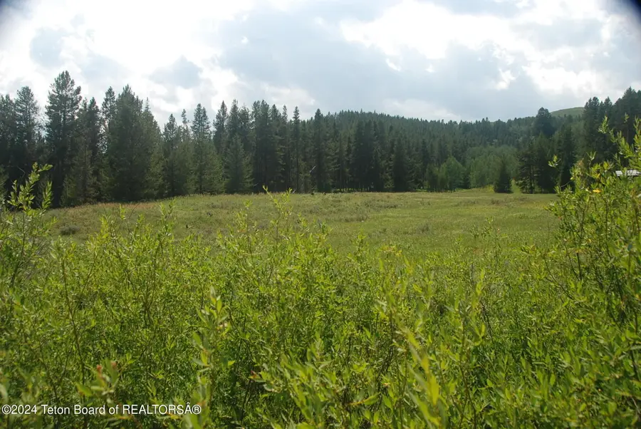 8355 S Fall Creek Road, Wilson, WY 83014 - Image #3