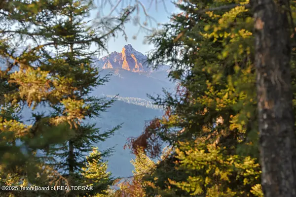 6620 Lupine Trail, Wilson, WY 83014