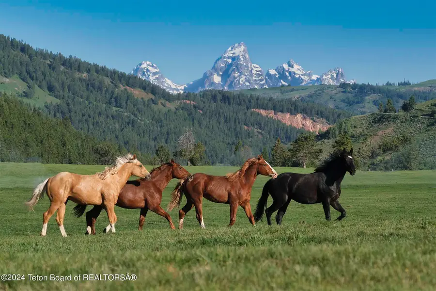 15400 Gros Ventre Road, Kelly, WY 83011 - Image #3