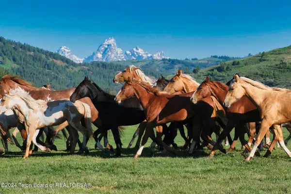 15400 Gros Ventre Road, Kelly, WY 83011