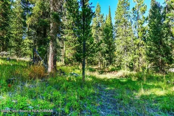 6050 W - Road, Wilson, WY 83014