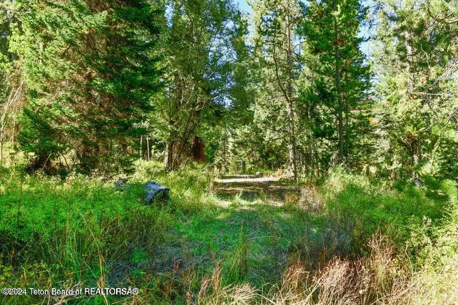 6050 W - Road, Wilson, WY 83014 - #3