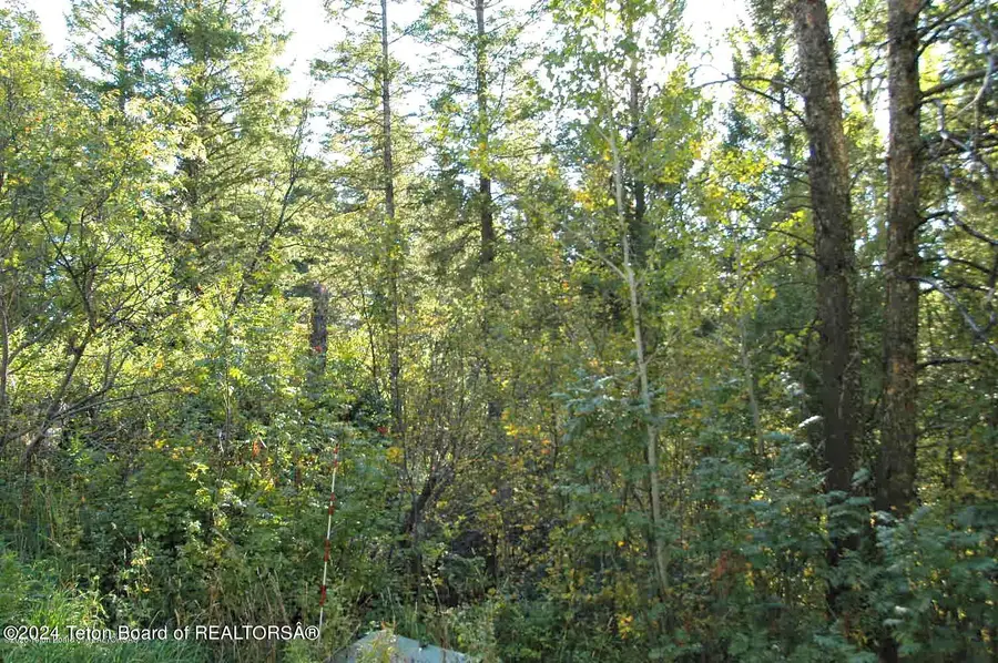 LOT 20 Cedar Creek Drive, Star Valley Ranch, WY 83127 - Image #2