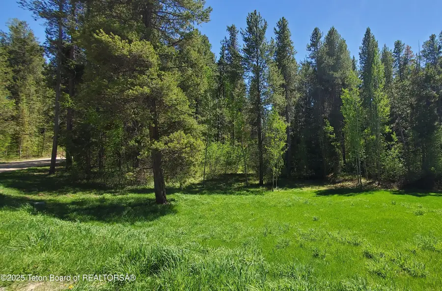 4085 Leigh Lane, Alta, WY 83414 - Image #3