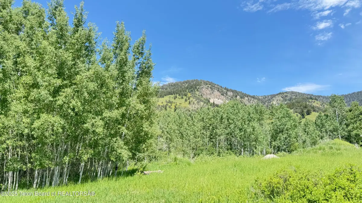Lot 20 Dogwood Drive, Star Valley Ranch, WY 83127 - Image #1