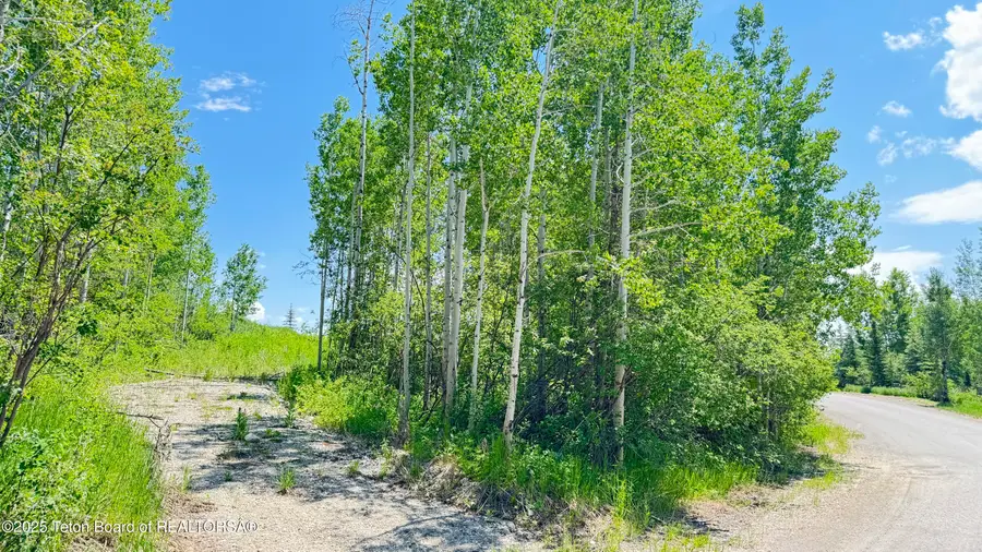 Lot 20 Dogwood Drive, Star Valley Ranch, WY 83127 - Image #3
