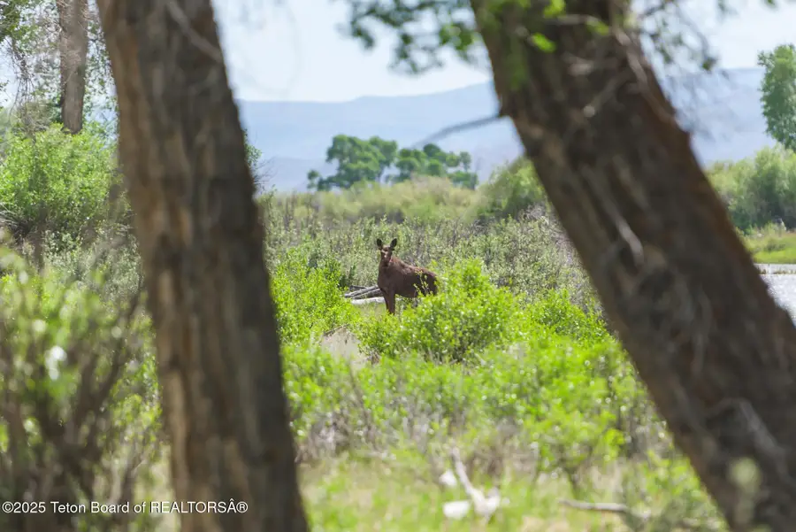Chapel Canyon, Big Piney, WY 83113 - Image #3
