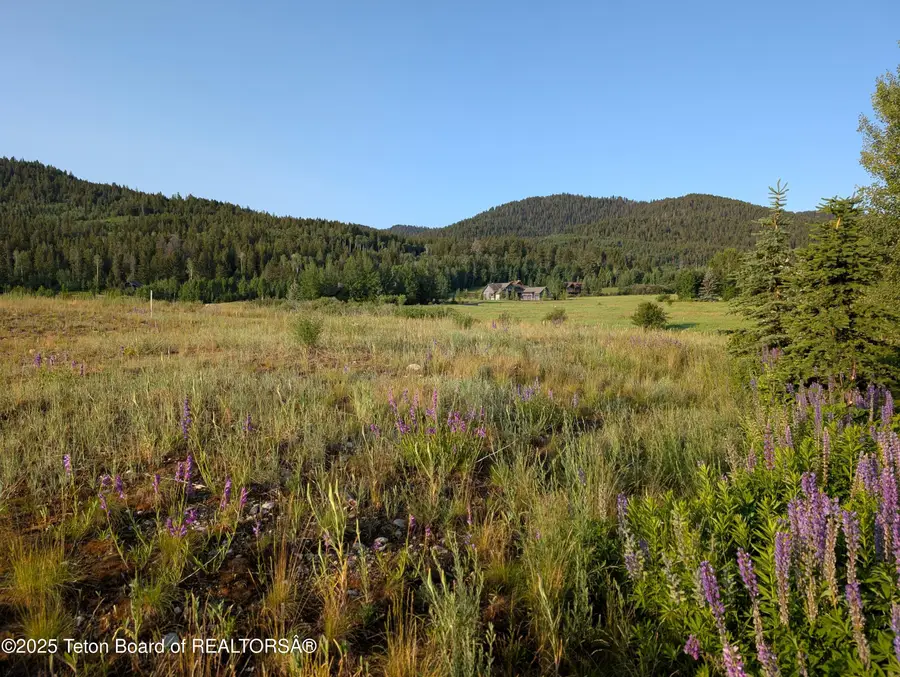 57 Warm Creek Lane, Victor, ID 83455 - Image #3