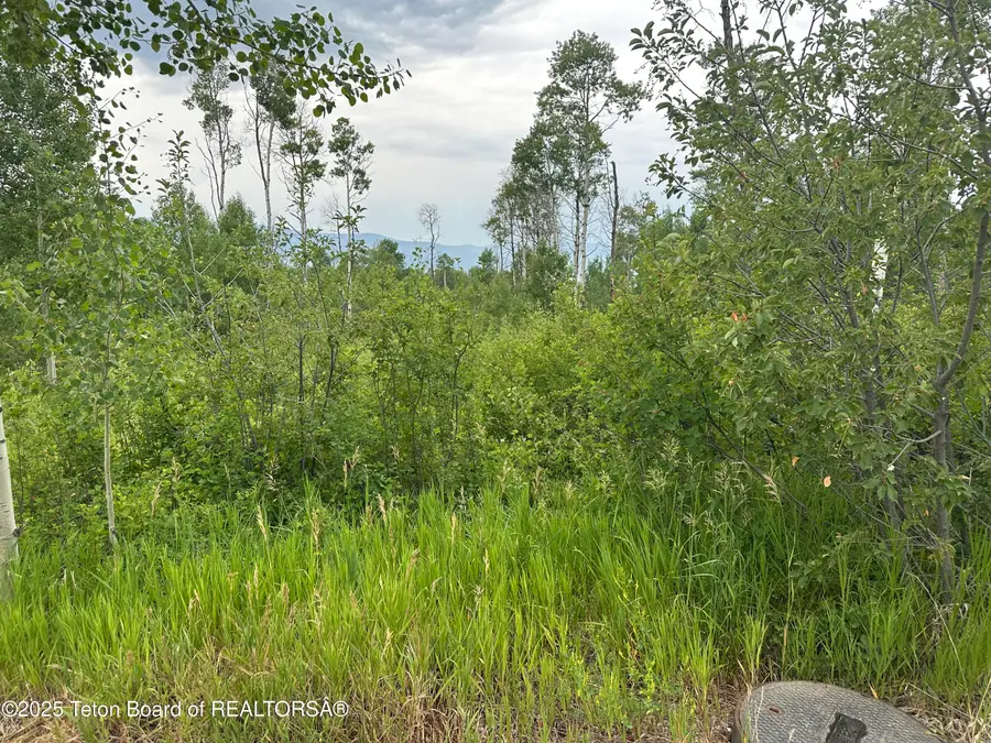 LOT 61 Pine Drive, Star Valley Ranch, WY 83127 - Image #3