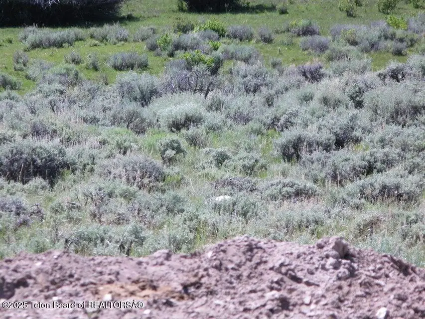 NW4NW4 E Miller Mountain, Kemmerer East, WY 83123 - Image #3