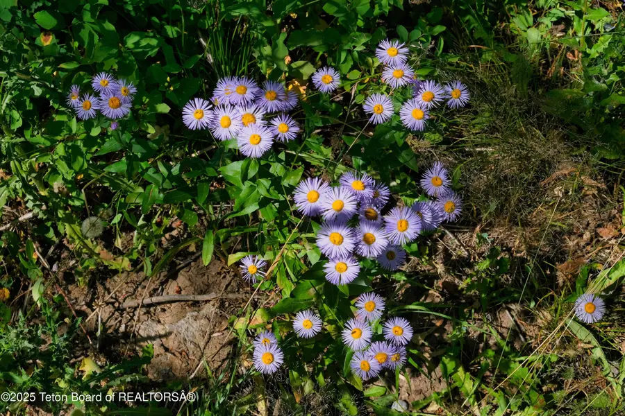 3550 Sorensen Creek Drive, Victor, ID 83455 - Image #3