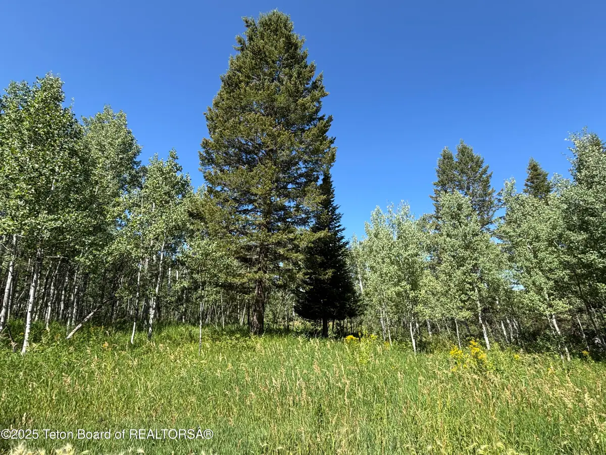 52 W Forest Drive, Star Valley Ranch, WY 83127 - Image #1