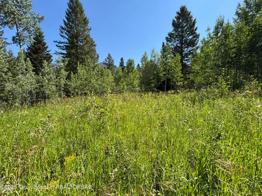 52 W Forest Drive, Star Valley Ranch, WY 83127 - Image #2