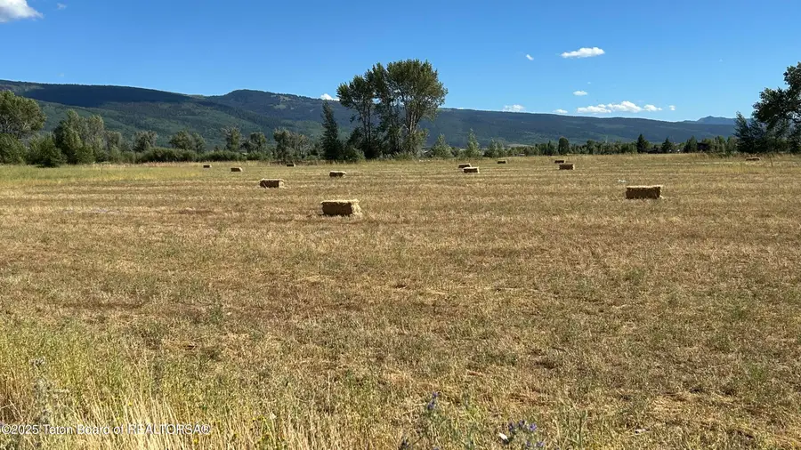 1313 Whitetail Drive, Driggs, ID 83452 - Image #3