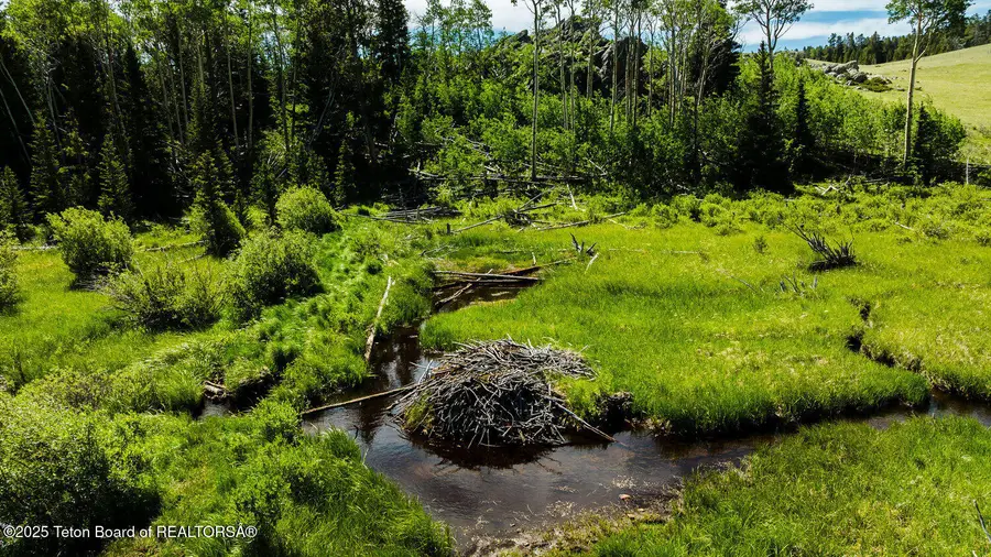 Hazelton Peak Ranch, Buffalo, WY 82834 - Image #2