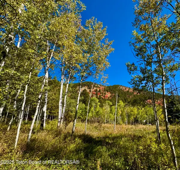 LOT 81 Hillside Circle, Star Valley Ranch, WY 83127