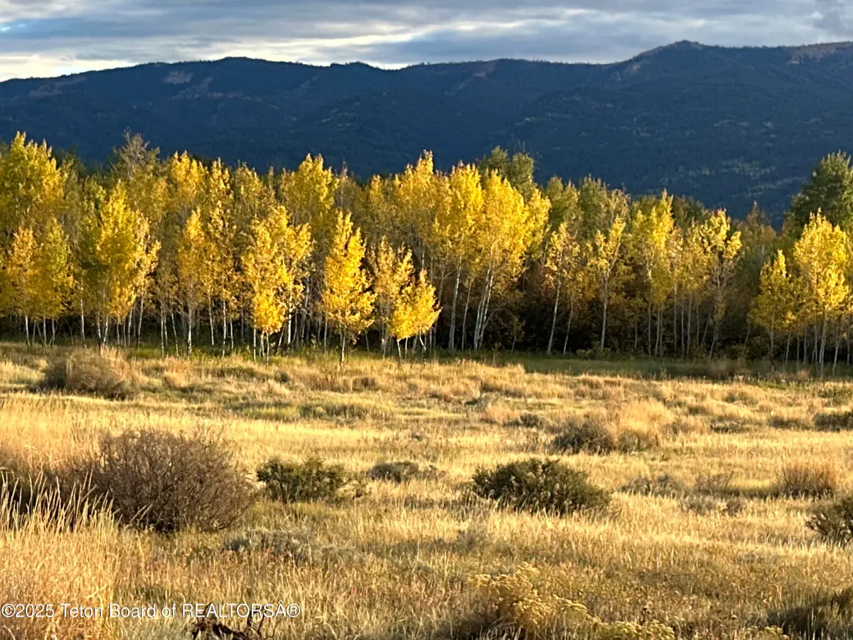 170 Elk Path, Swan Valley, ID 83449 - Image #1