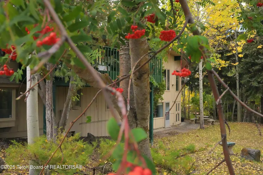 515 Pine Drive, Jackson, WY 83001 - #3