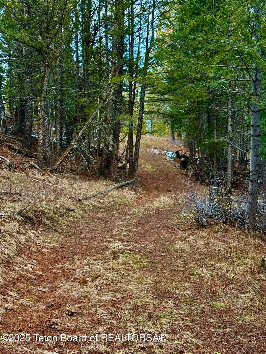 73 Quill Court, Dubois, WY 82513 - Image #3