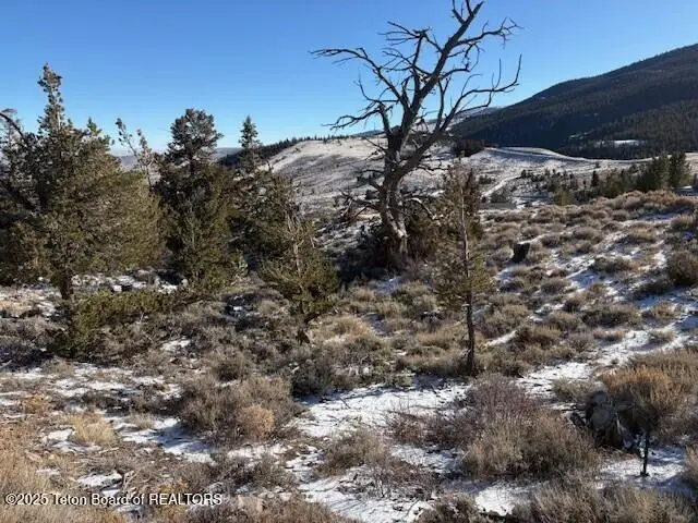 107 Soda Springs Drive, Dubois, WY 82513 - #2