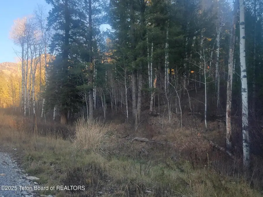 L13B2 Cutthroat Run, Irwin, ID 83428 - Image #2