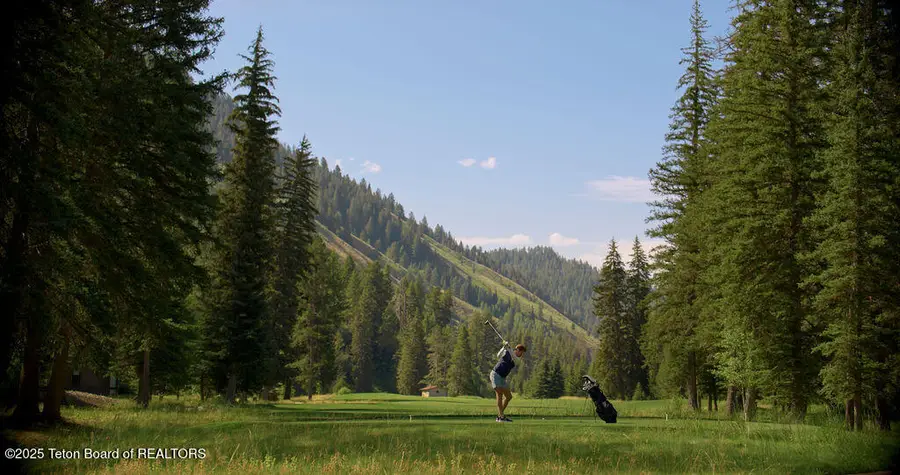 15505 & 15525 S. Wagon Road, Jackson, WY 83001 - #2