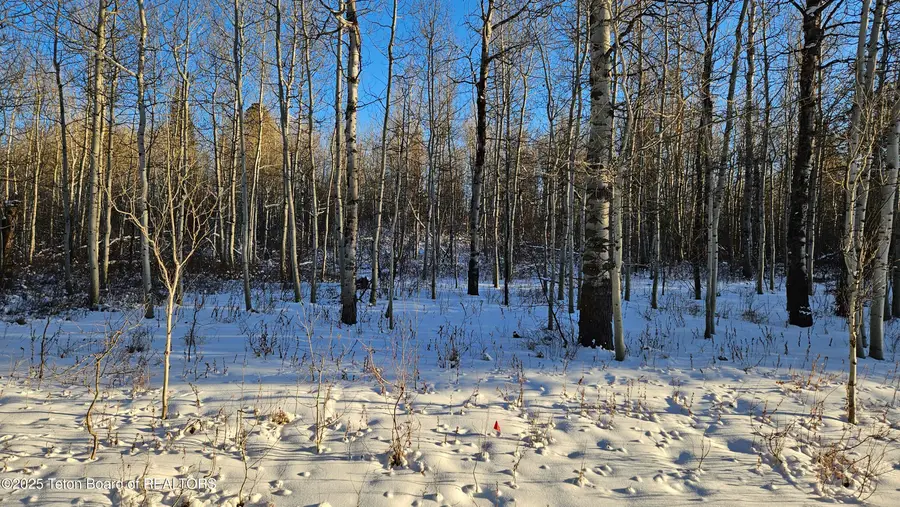 2617 Apsaroke Trail, Tetonia, ID 83452 - Image #2