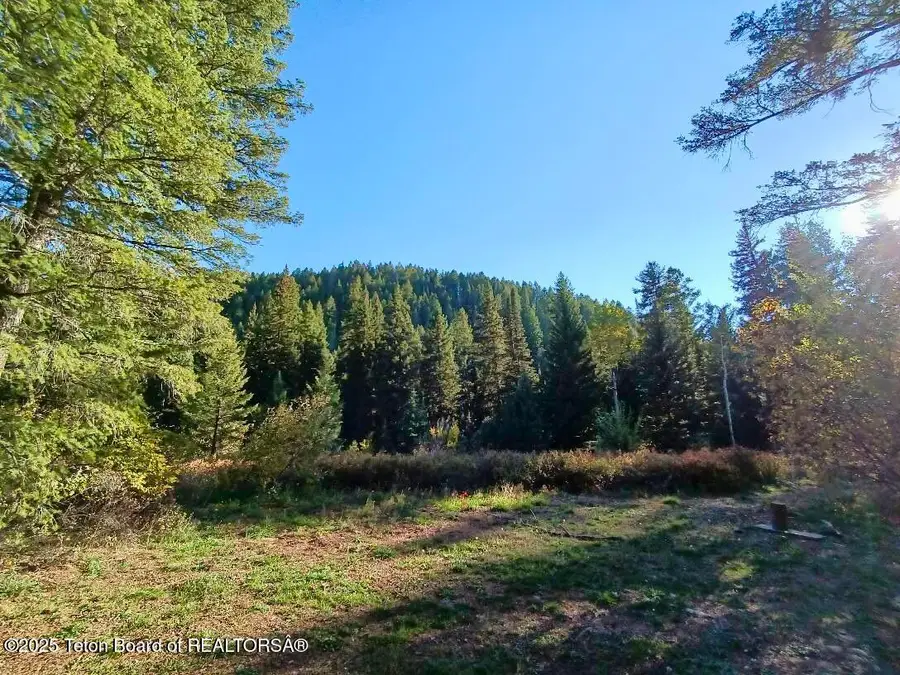 466 Willow Crk Cyn Road, Bedford, WY 83112 - Image #2